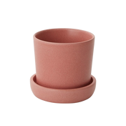 Watson Pot