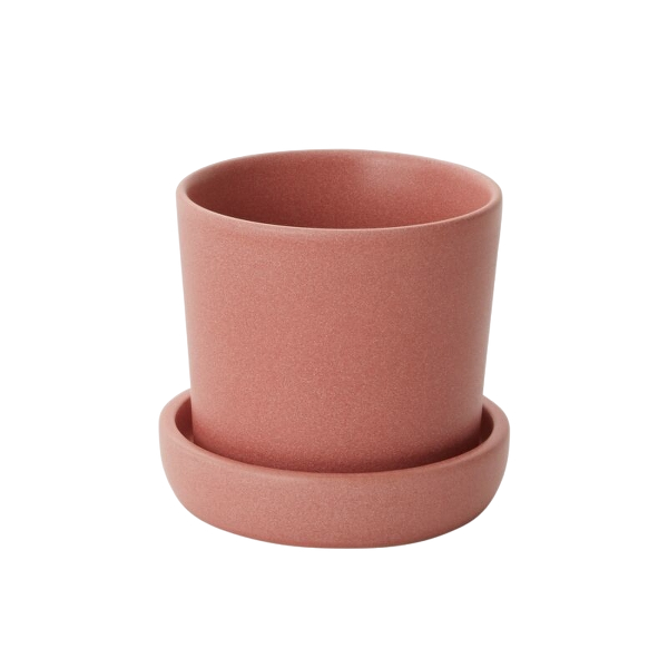 Watson Pot