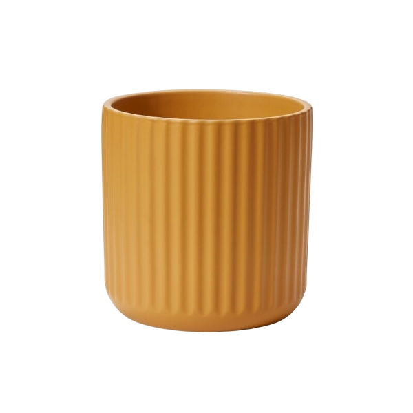 Beam Pot