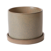 Hawthorne Pot