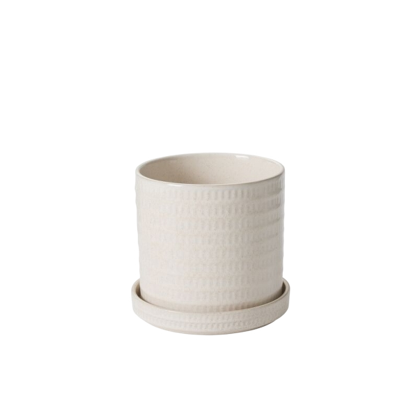 Morse Pot with Saucer