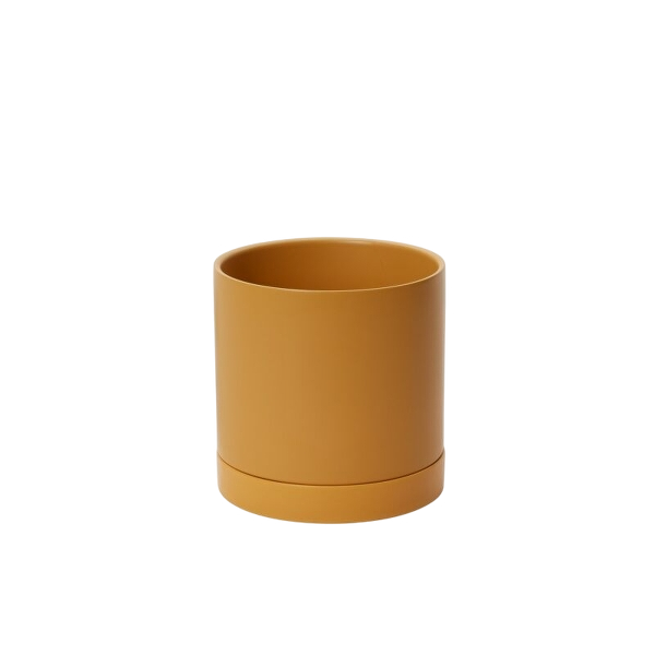 Romey Pot