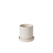 Morse Pot with Saucer