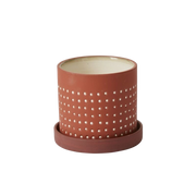 Salamanca Pot