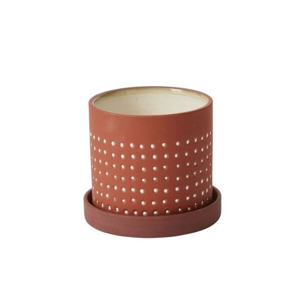 Salamanca Pot