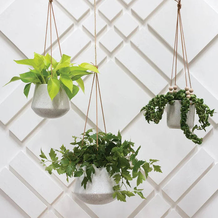 Kenzie Hanging Pot