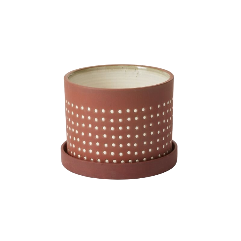 Salamanca Pot