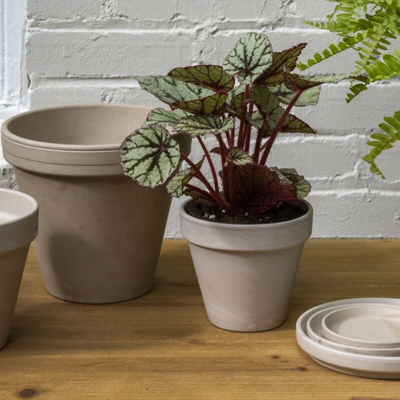 Apollo Pot