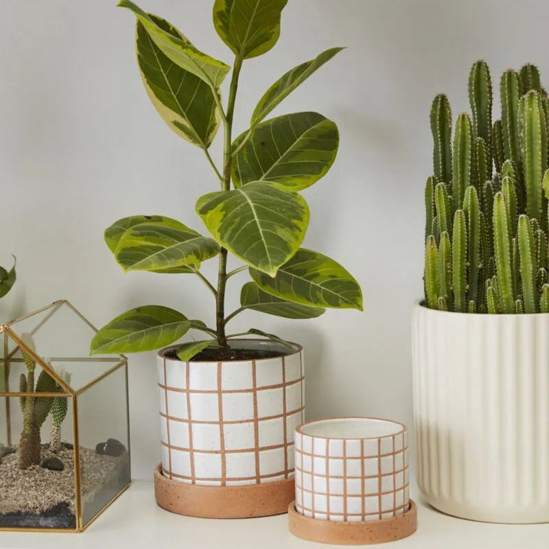 Gridline Pot